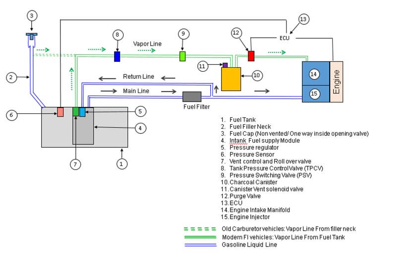 EVAP System Circuit Diagram